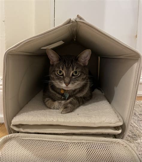 best cat carriers|10 Best Cat Carriers of 2024, Tested and Reviewed by Editors.